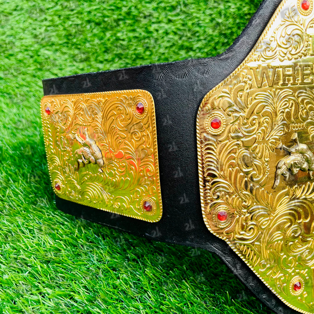 World Heavyweight Championship Replica Title Belt 2002 to 2013