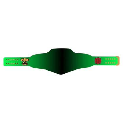Triple H The Game Signature Series Championship Belt