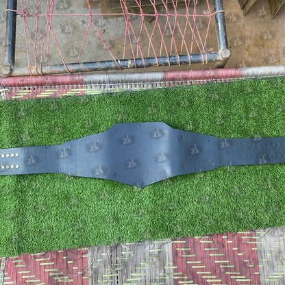 Undisputed Championship Replica Title Belt (2mm)