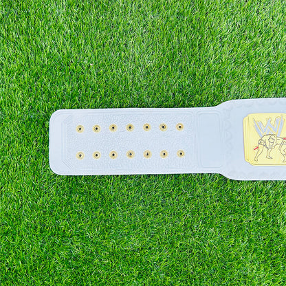 Intercontinental Championship Replica Title Belt (2011-2019)Adult Size - 2MM Brass Plates